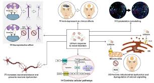 Action Steps for a Positive Mood Transformation: Treatment with Pills