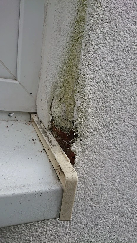 Poškozená fasáda s odškrabnutým omítkou a plísňovým poškozením.