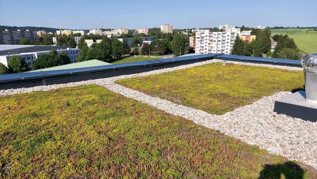 Zelená střecha s rostlinami a štěrkovými cestami na pozadí města.