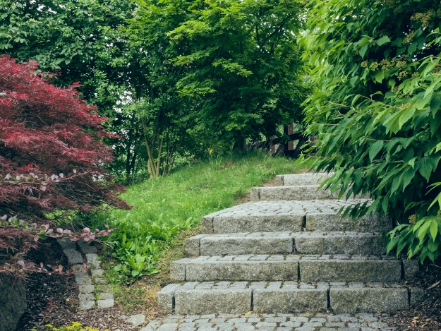 Kamenné schody vedoucí po svahu v zahradě mezi zelení.
