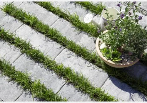 Šedá vegetační dlažba s prorůstající trávou na venkovním povrchu.