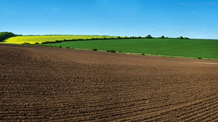 Ploha s nově připravenou půdou pro zemědělskou kultivaci.