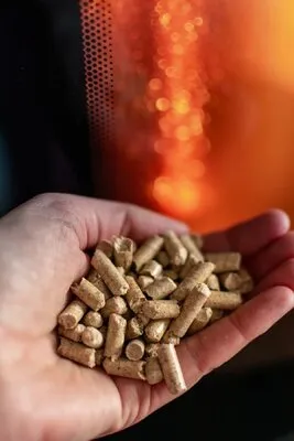 Wood pellets in hand