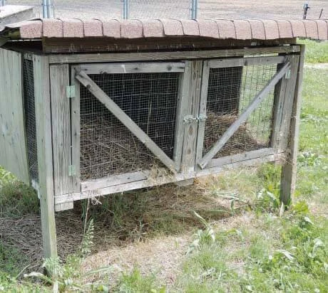 Dřevěná králíkárna s mřížovými dveřmi a senem uvnitř.