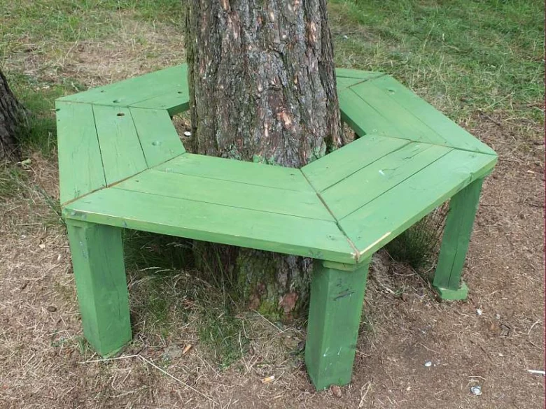 Zelená dřevěná lavička postavená kolem stromu.
