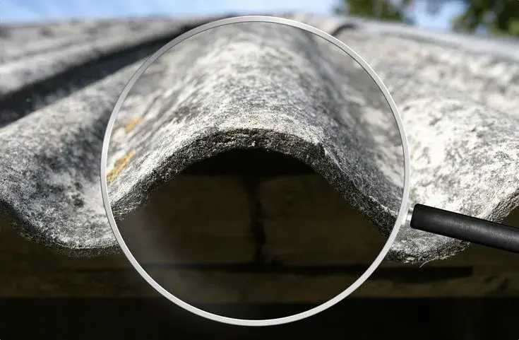 Detail zvěčněné azbestové střechy s mechem pro článek o eternitu.