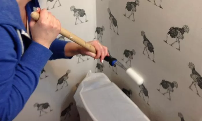 Člověk maluje zeď válečkem s bílou barvou.