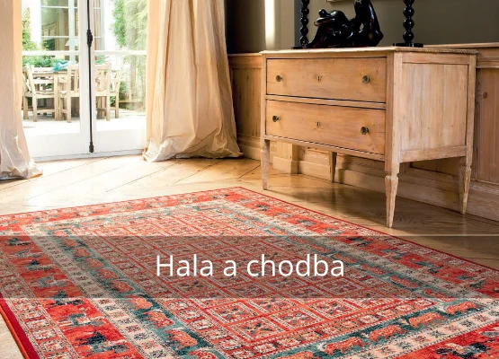 Červený orientální koberec v obývacím pokoji s nábytkem.