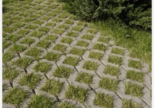 Vegetační dlažba s rostoucí trávou v betonových kostkách.